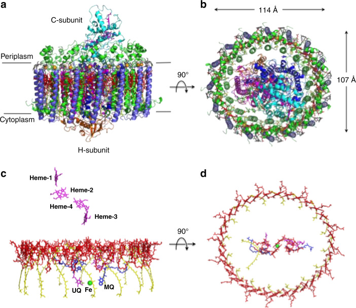 Fig. 1