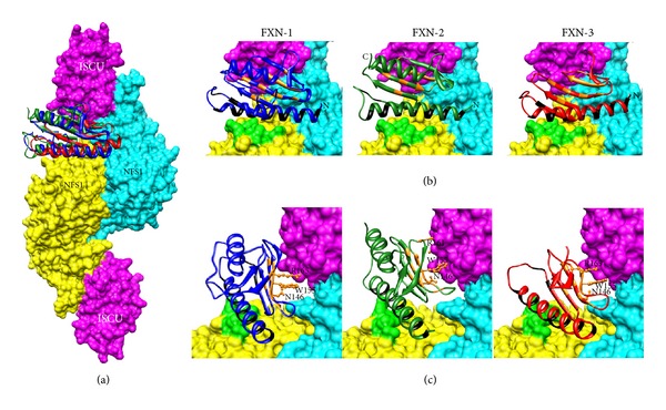 Figure 5