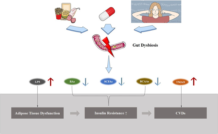 Figure 3