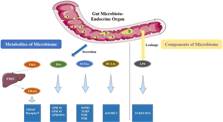 Figure 2