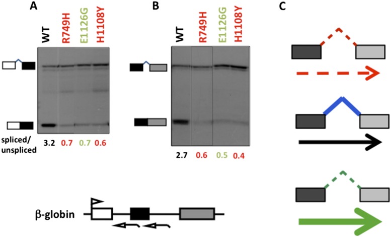 Figure 7.