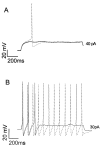 Figure 8.
