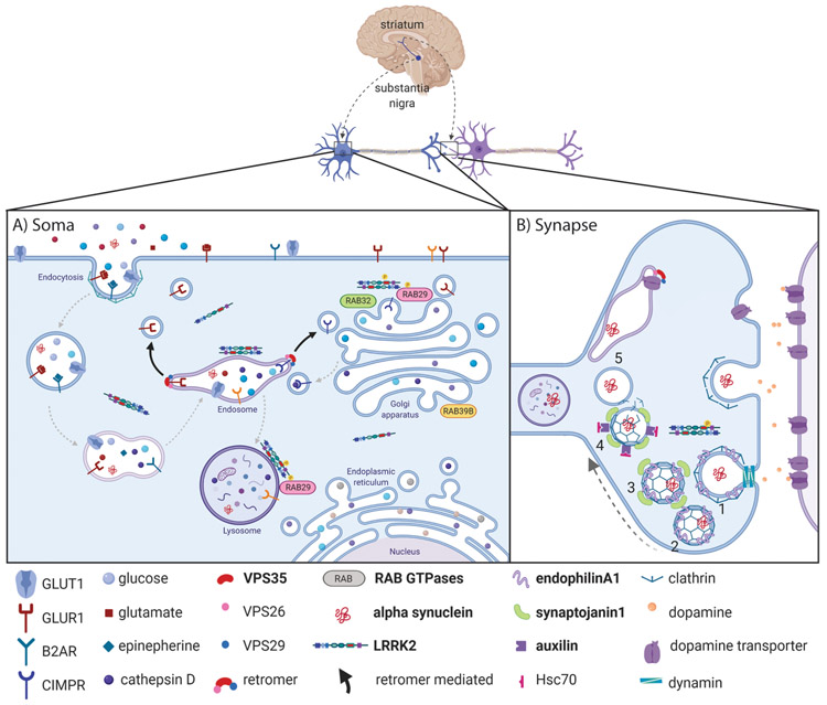 Figure 1: