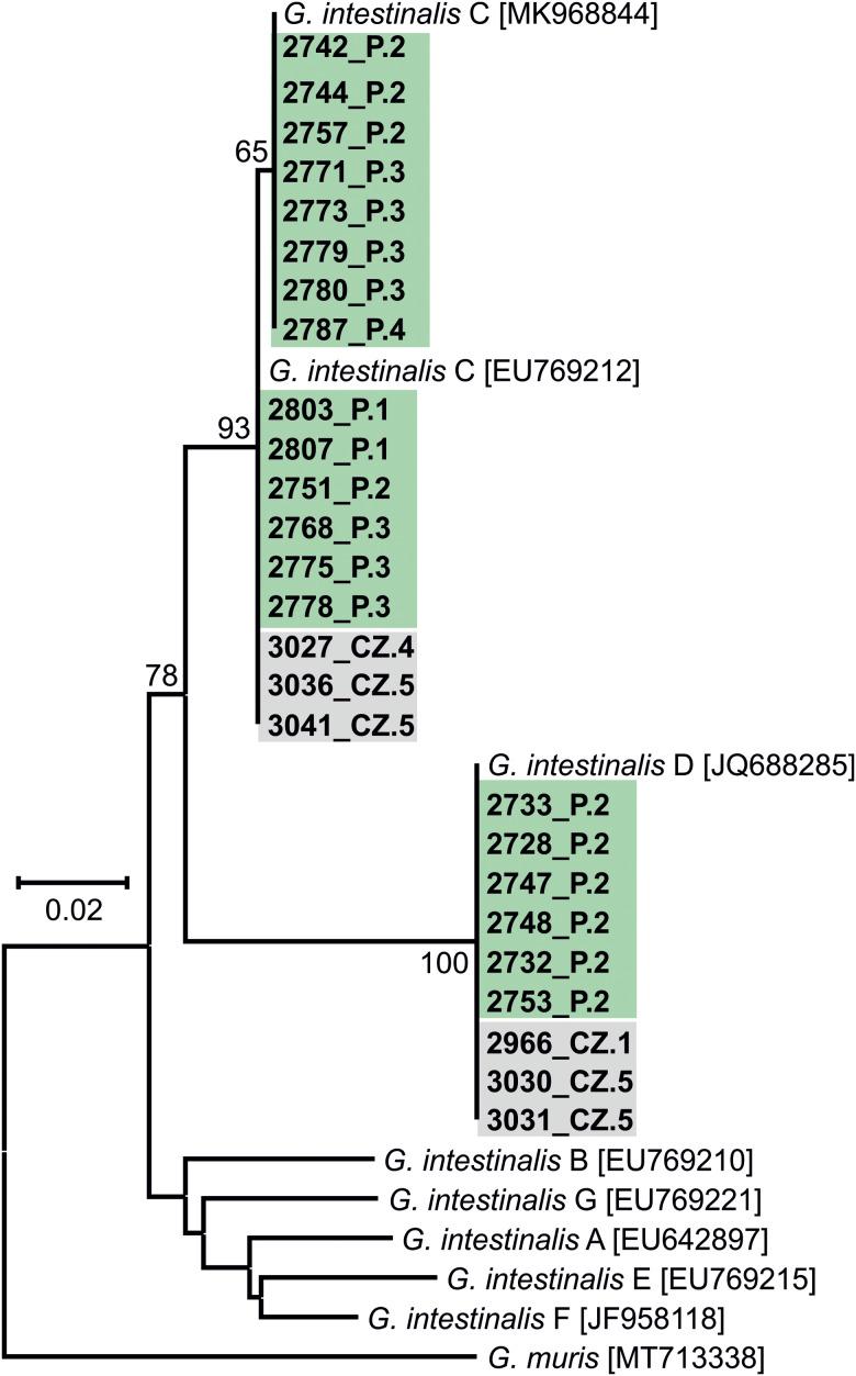 Figure 5.