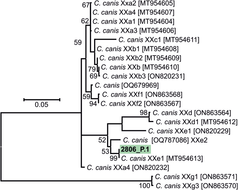 Figure 3.