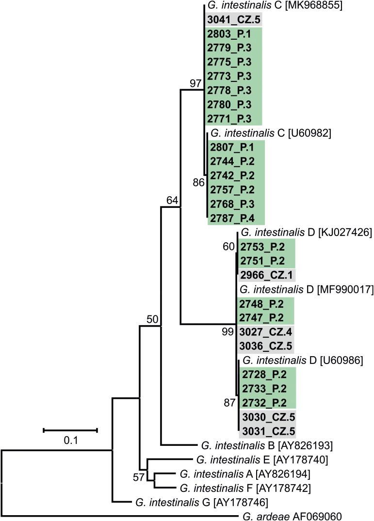 Figure 6.