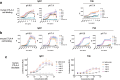 (a) Increased binding of mipi IgGs and Fabs to human CTLA-4 expressing cells. (b) Increased binding of mipi IgGs and Fabs to mouse CTLA-4 expressing cells. (c) Increased human CTLA-4 checkpoint blockade reporter cell-line activity with mipi variant IgG and Fab molecules.