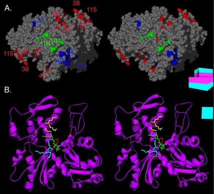 Figure 6.