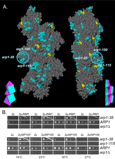 Figure 9.