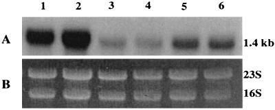 FIG. 8