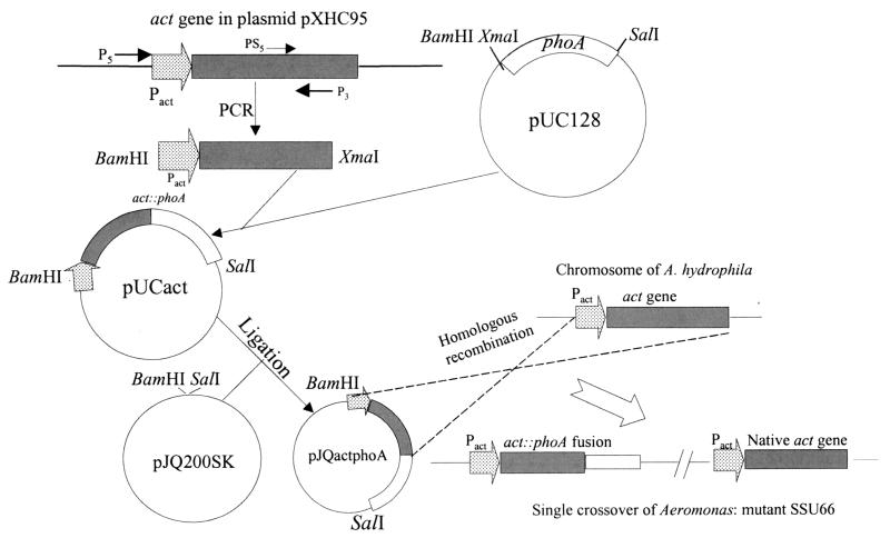 FIG. 1