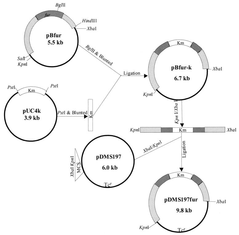 FIG. 6