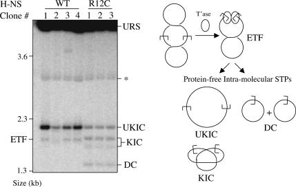 Figure 7.