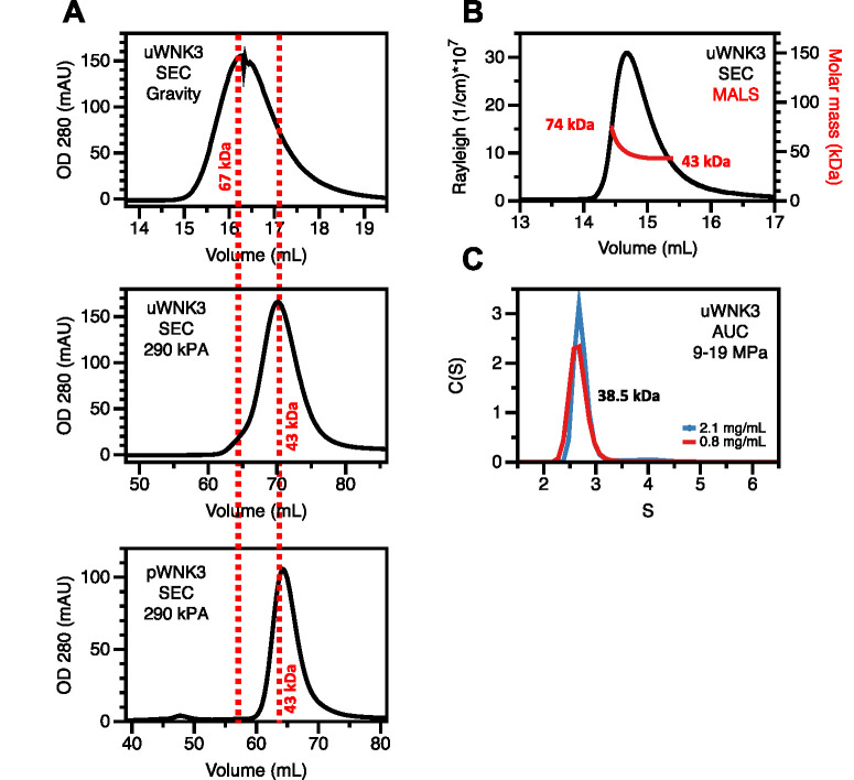 FIGURE 4: