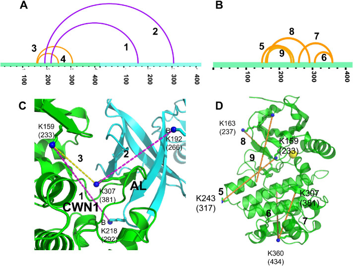 FIGURE 6: