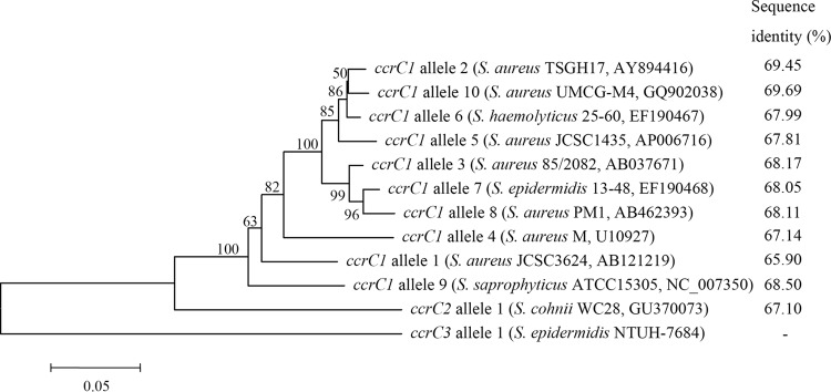 FIG 2