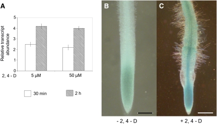 Figure 7.