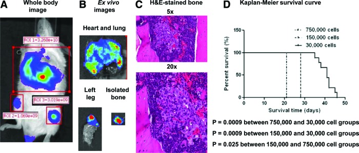 FIG 3.