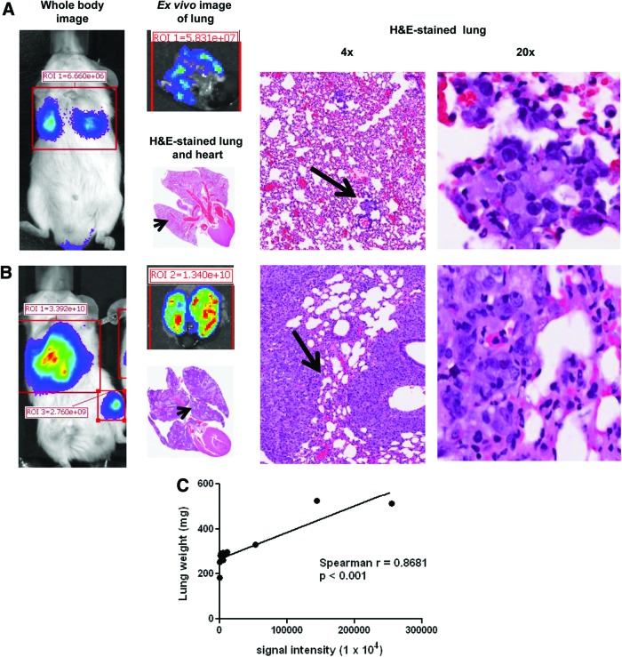 FIG 6.