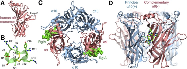 Fig. 5.