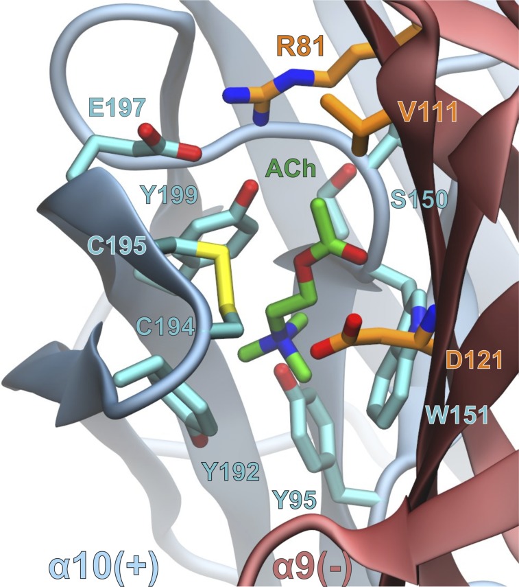 Fig. 8.