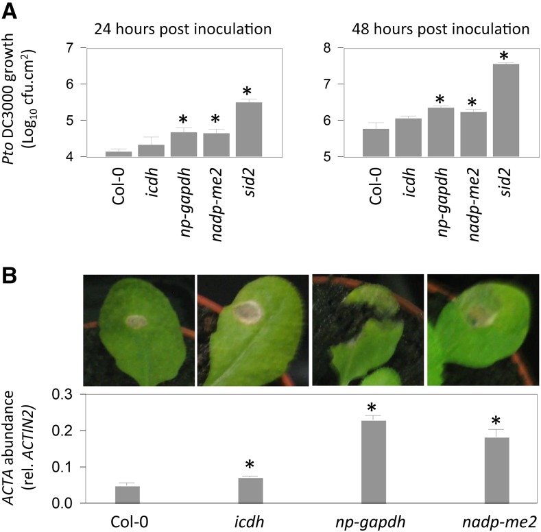 Figure 10.