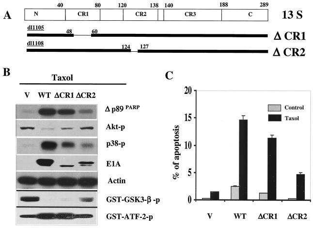 FIG. 7.