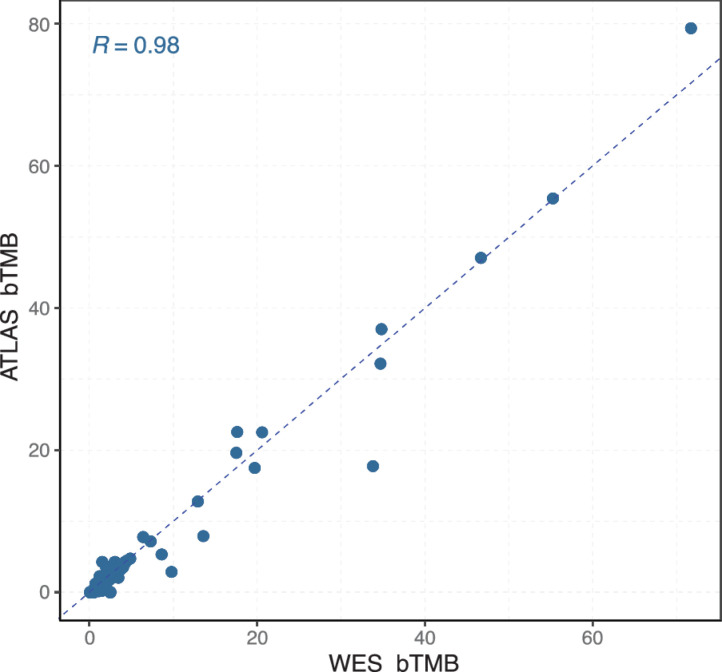 Figure 3. High correlation between bTMB determined from WES and a 600-gene targeted sequencing panel. bTMB levels generated from 50 baseline samples using the PredicineWES+ and PredicineATLAS sequencing assays were highly correlated (Spearman rank test).