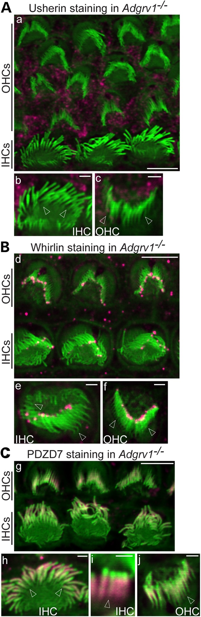 Figure 2.