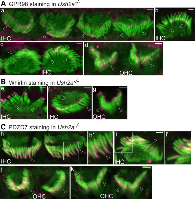 Figure 4.