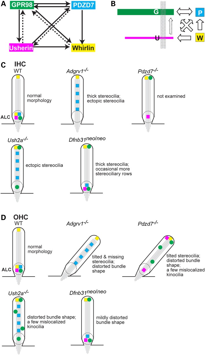 Figure 11.