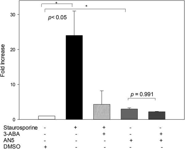 Figure 5