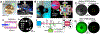 Fig. 2.