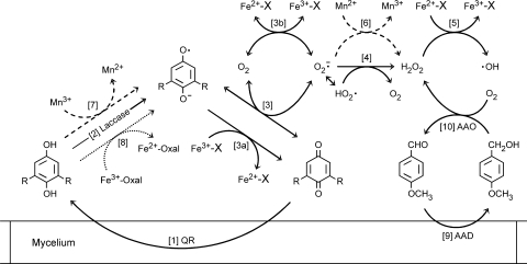 FIG. 11.