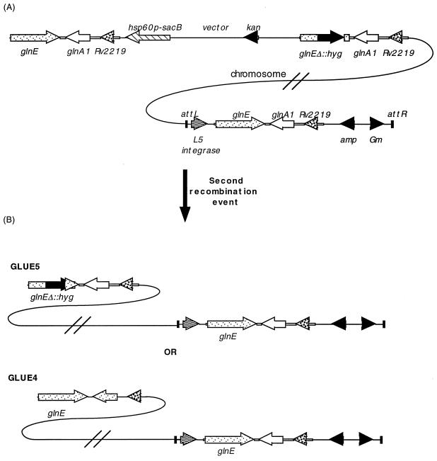 FIG. 3