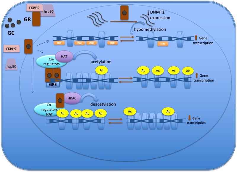 Figure 2.