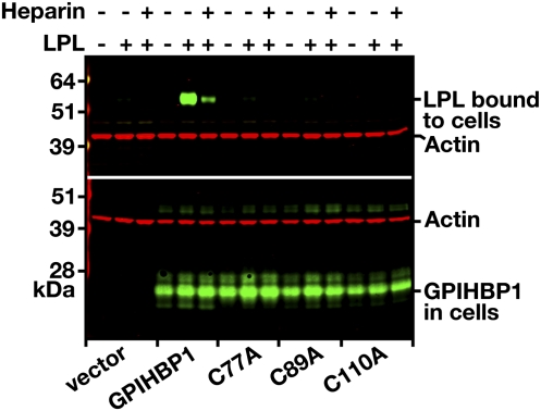 Fig. 9.