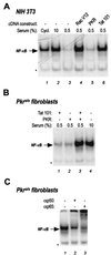FIG. 3
