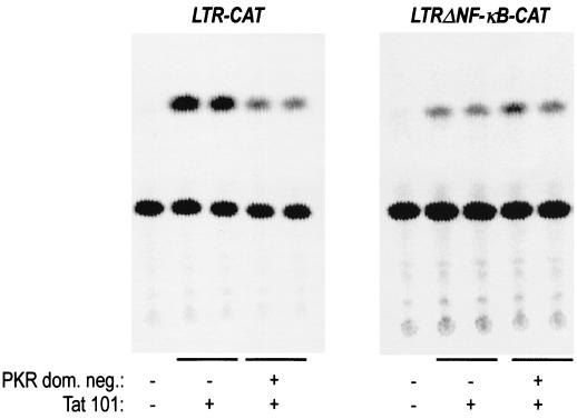 FIG. 6