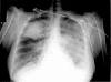 <i>Figure 1</i>