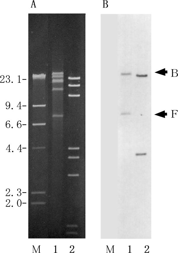 FIG. 3.