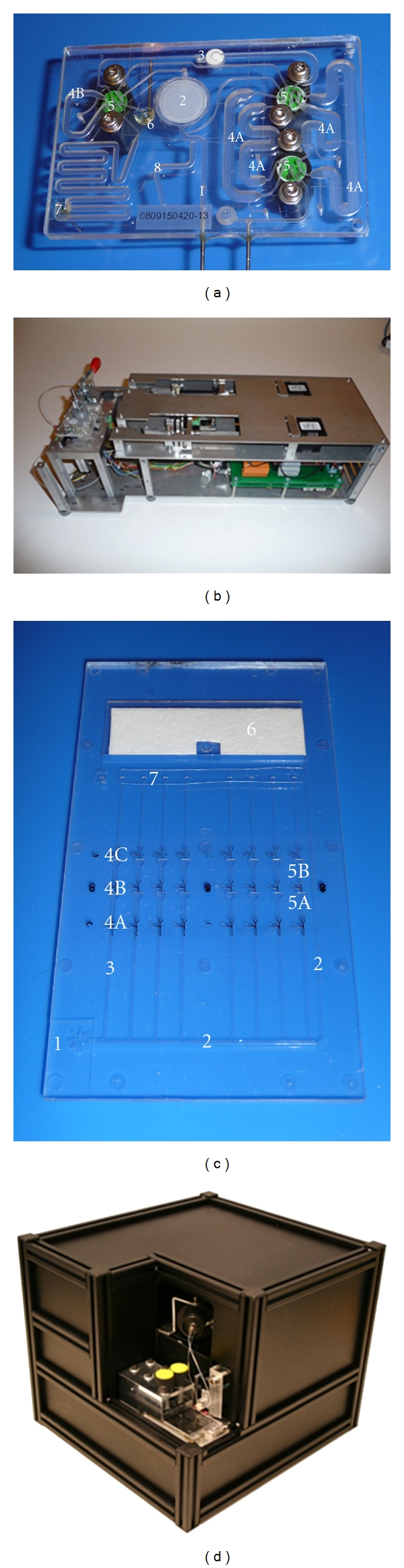 Figure 2