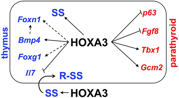 Fig. 10.