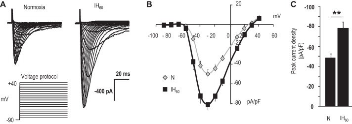 Fig. 8.