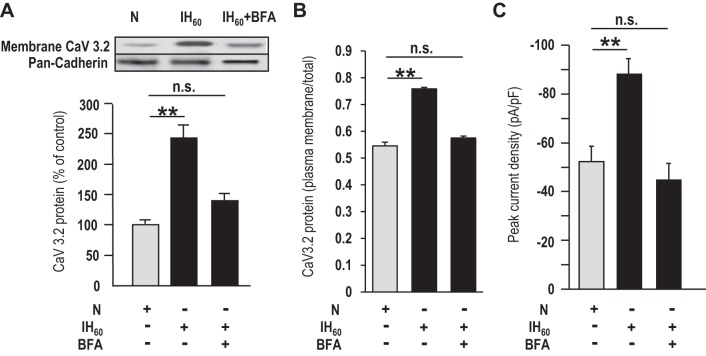 Fig. 10.