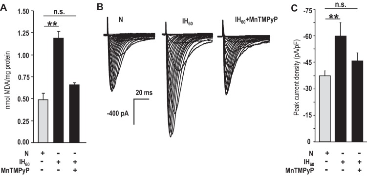 Fig. 9.