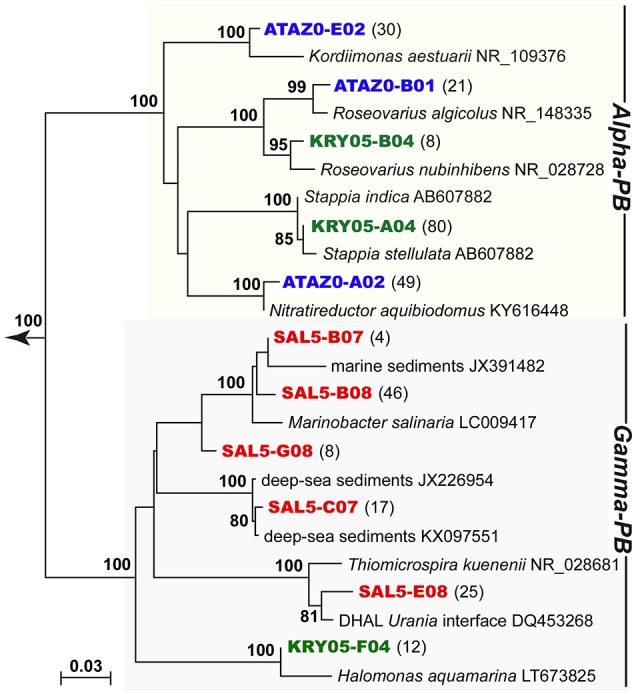 Figure 6