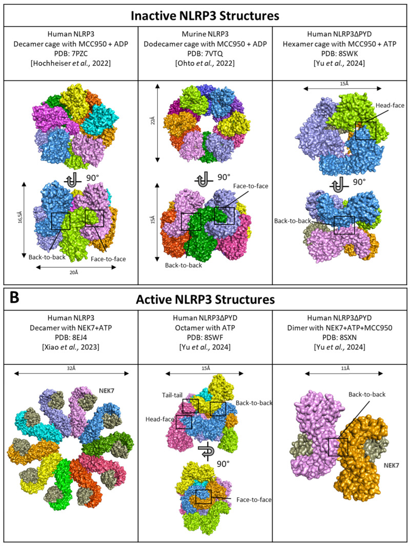 Figure 7