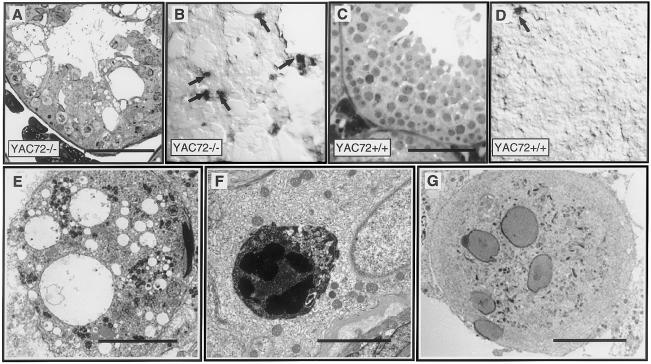 Figure  3