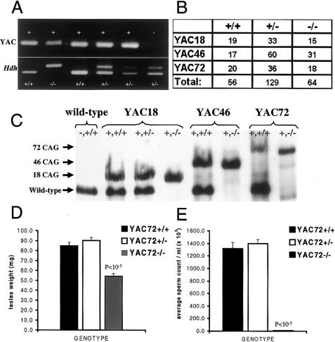 Figure  1